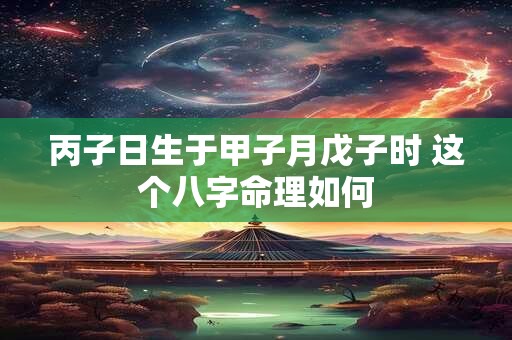丙子日生于甲子月戊子时 这个八字命理如何