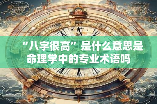 “八字很高”是什么意思是命理学中的专业术语吗