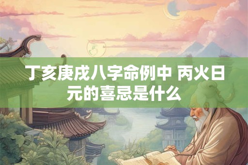 丁亥庚戌八字命例中 丙火日元的喜忌是什么