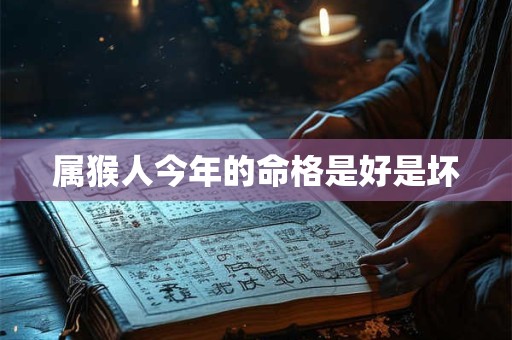 属猴人今年的命格是好是坏