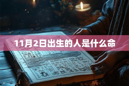 11月2日出生的人是什么命