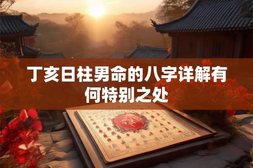 丁亥日柱男命的八字详解有何特别之处