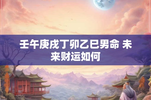 壬午庚戌丁卯乙巳男命 未来财运如何