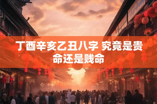 丁酉辛亥乙丑八字 究竟是贵命还是贱命