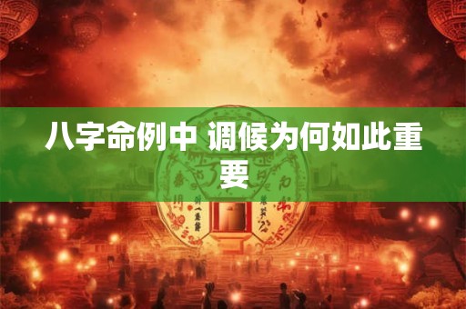八字命例中 调候为何如此重要