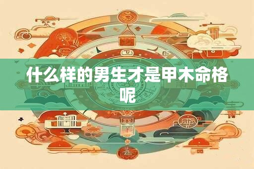 什么样的男生才是甲木命格呢