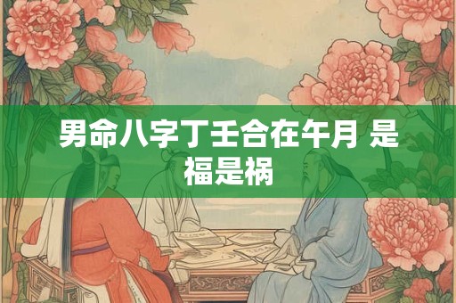 男命八字丁壬合在午月 是福是祸