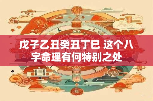 戊子乙丑癸丑丁巳 这个八字命理有何特别之处