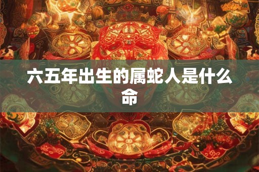 六五年出生的属蛇人是什么命