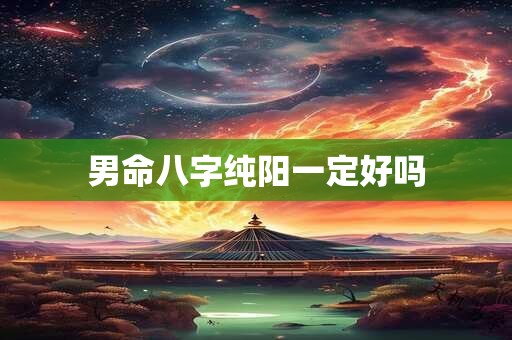 男命八字纯阳一定好吗