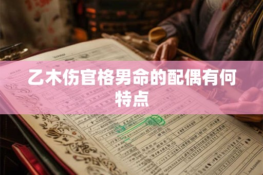 乙木伤官格男命的配偶有何特点