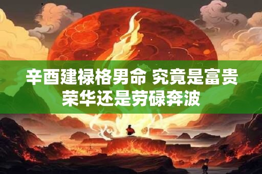 辛酉建禄格男命 究竟是富贵荣华还是劳碌奔波