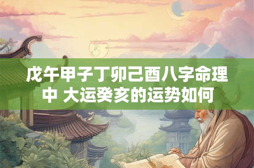 戊午甲子丁卯己酉八字命理中 大运癸亥的运势如何