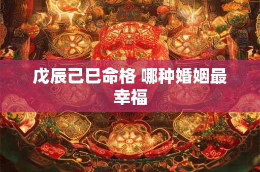 戊辰己巳命格 哪种婚姻最幸福