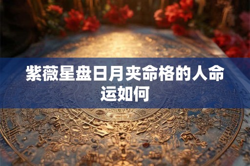 紫薇星盘日月夹命格的人命运如何