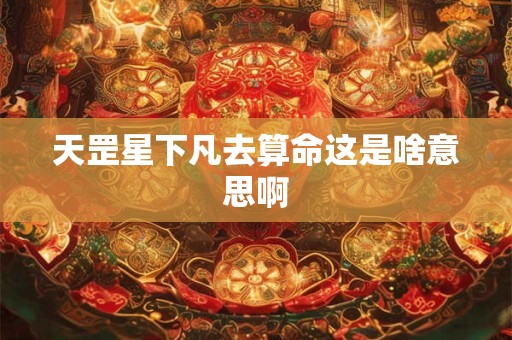 天罡星下凡去算命这是啥意思啊