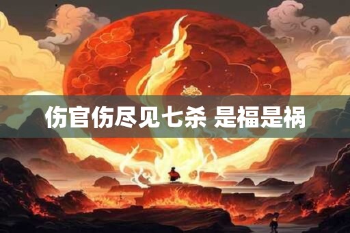 伤官伤尽见七杀 是福是祸