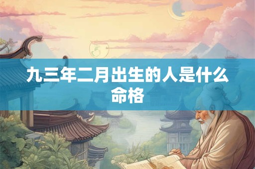 九三年二月出生的人是什么命格