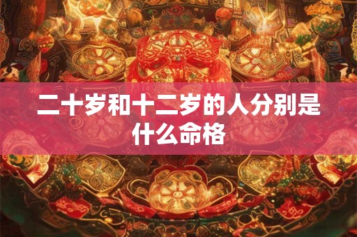 二十岁和十二岁的人分别是什么命格