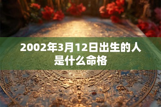 2002年3月12日出生的人是什么命格