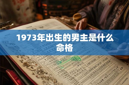 1973年出生的男主是什么命格