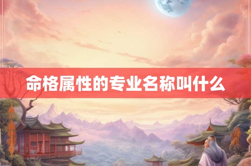 命格属性的专业名称叫什么