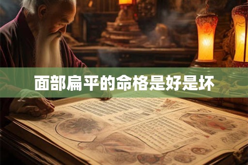 面部扁平的命格是好是坏