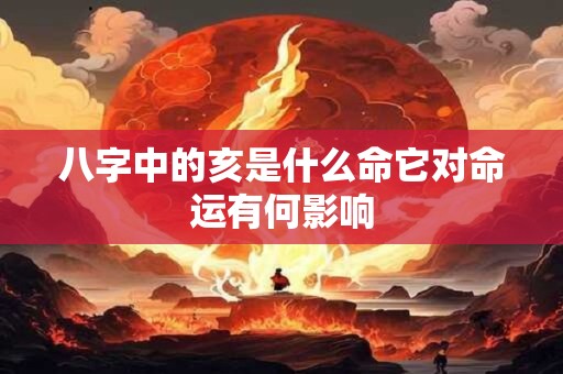 八字中的亥是什么命它对命运有何影响