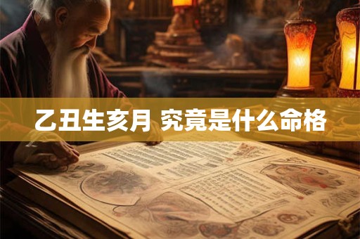乙丑生亥月 究竟是什么命格