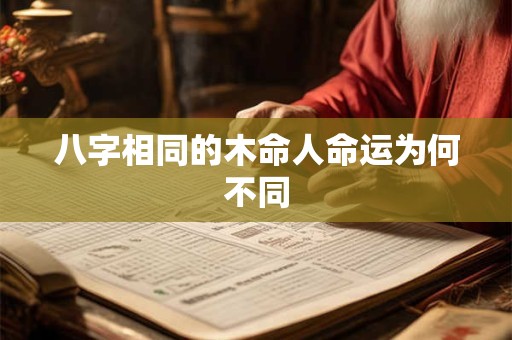 八字相同的木命人命运为何不同