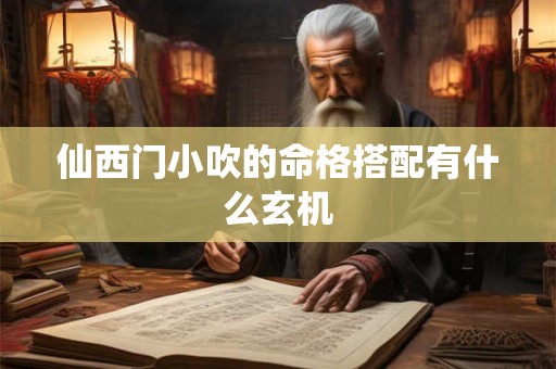 仙西门小吹的命格搭配有什么玄机