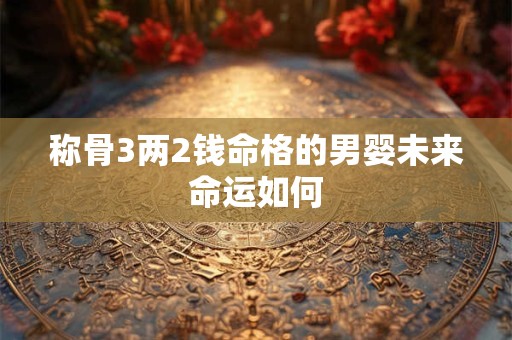 称骨3两2钱命格的男婴未来命运如何