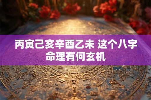 丙寅己亥辛酉乙未 这个八字命理有何玄机