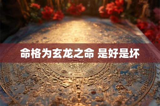 命格为玄龙之命 是好是坏 命格为玄龙之命 是好是坏