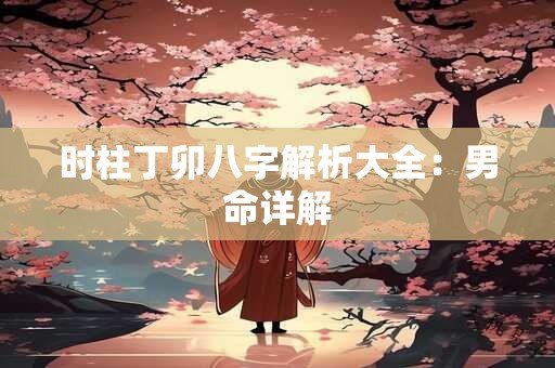 时柱丁卯八字解析大全：男命详解