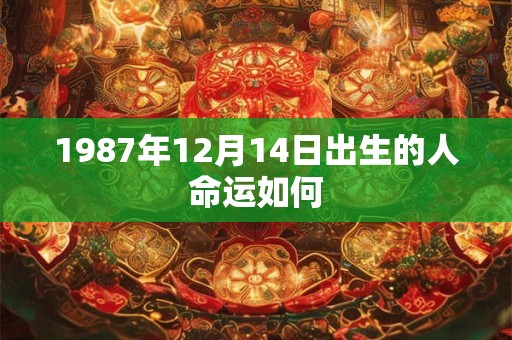1987年12月14日出生的人命运如何
