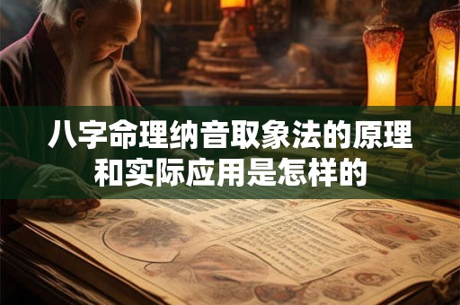 八字命理纳音取象法的原理和实际应用是怎样的