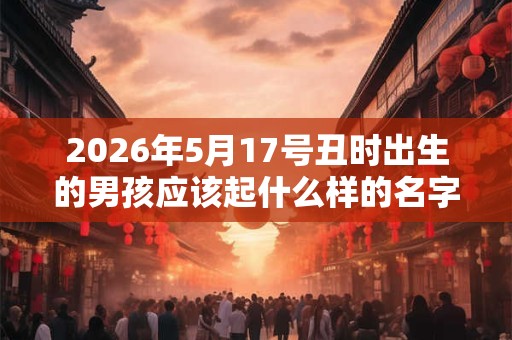 2026年5月17号丑时出生的男孩应该起什么样的名字