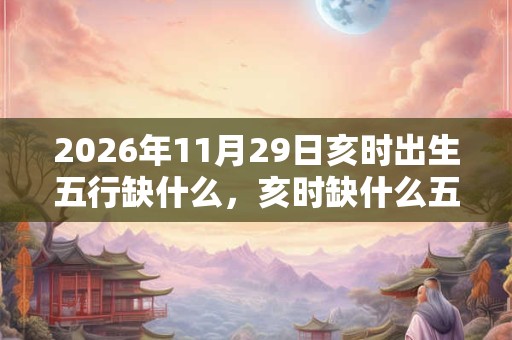 2026年11月29日亥时出生五行缺什么，亥时缺什么五行