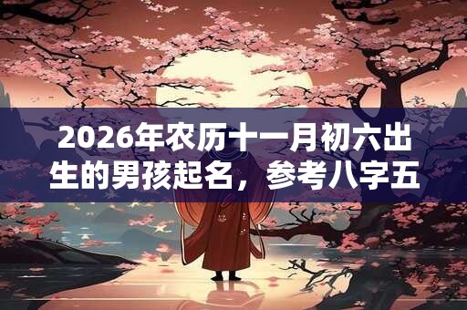 2026年农历十一月初六出生的男孩起名，参考八字五行