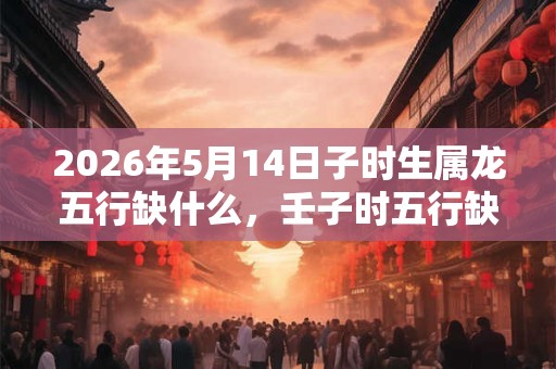 2026年5月14日子时生属龙五行缺什么，壬子时五行缺什么