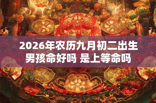2026年农历九月初二出生男孩命好吗 是上等命吗