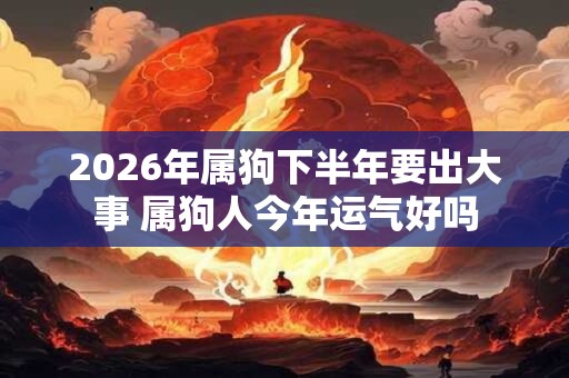 2026年属狗下半年要出大事 属狗人今年运气好吗