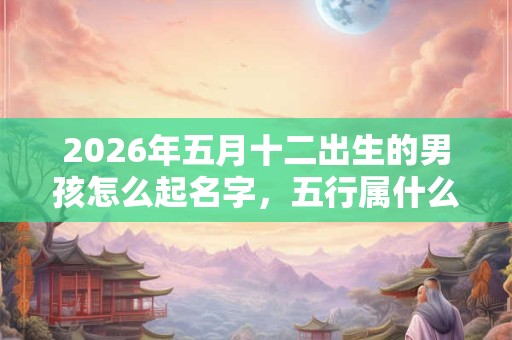 2026年五月十二出生的男孩怎么起名字，五行属什么