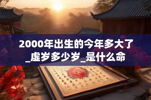2000年出生的今年多大了_虚岁多少岁_是什么命