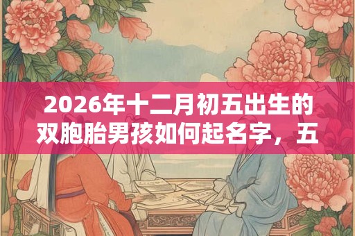 2026年十二月初五出生的双胞胎男孩如何起名字，五行属什么