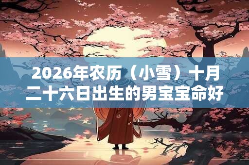 2026年农历（小雪）十月二十六日出生的男宝宝命好不好