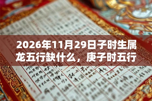 2026年11月29日子时生属龙五行缺什么，庚子时五行缺什么