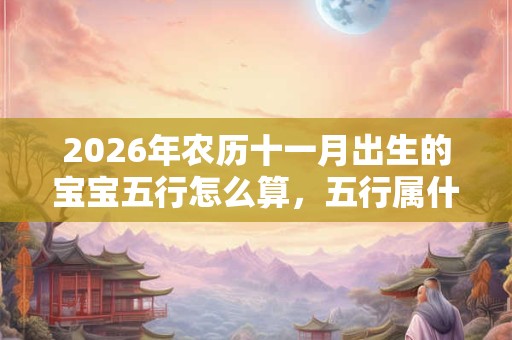 2026年农历十一月出生的宝宝五行怎么算，五行属什么？