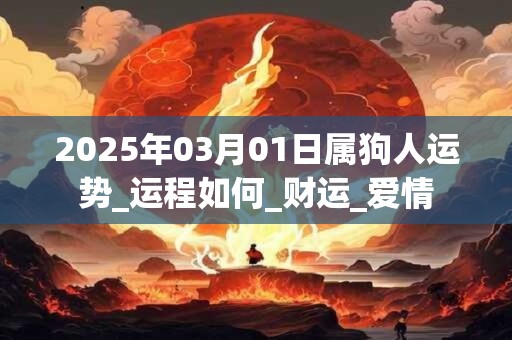 2025年03月01日属狗人运势_运程如何_财运_爱情